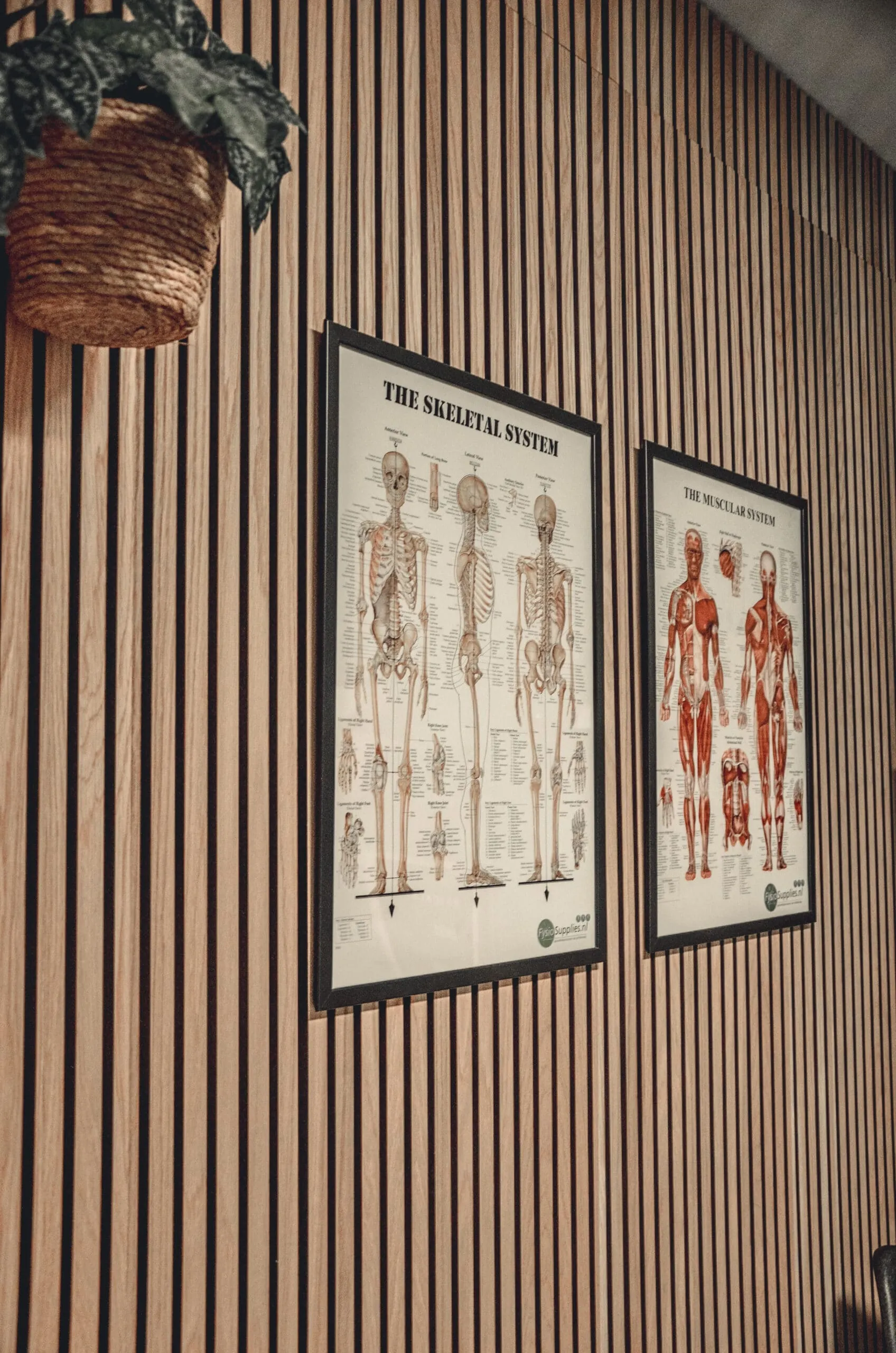 Echografie onderzoek bij Movement Based Therapy